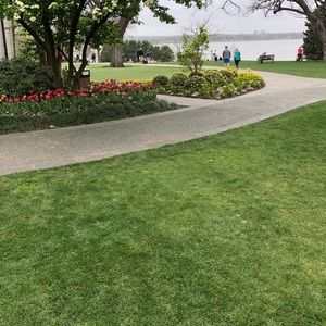 Meet your Posher, Brynn